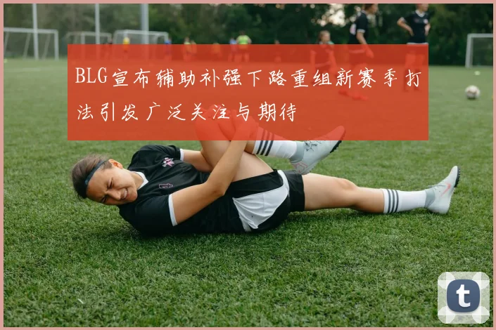 BLG宣布辅助补强下路重组新赛季打法引发广泛关注与期待